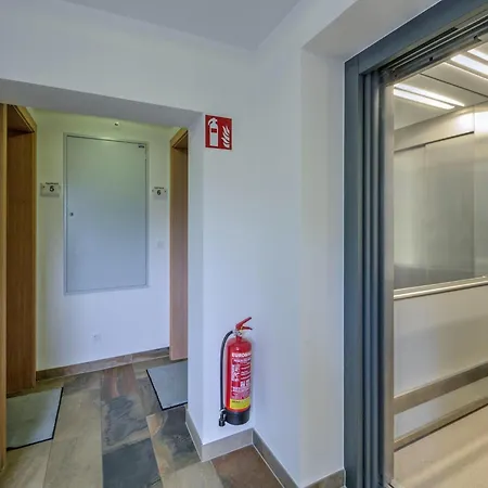 Apartment Ski-in, Ski-out Brunner Apartment,