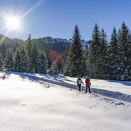 Ski-in, Ski-out Brunner Apartment,