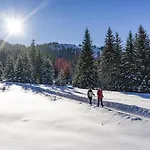 Ski-in, Ski-out Brunner Apartment,