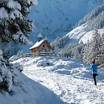 Διαμέρισμα Ski-in, Ski-out Brunner Apartment, Wildschonau