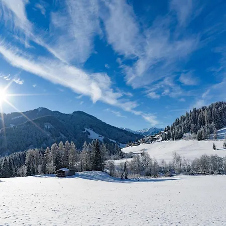 Ski-in, Ski-out Brunner Apartment, Apartamento Wildschoenau